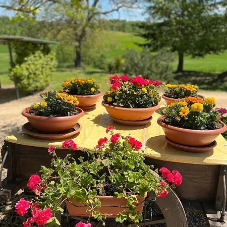 San Fedele Alloggi Apartman *
